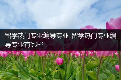 留学热门专业编导专业-留学热门专业编导专业有哪些