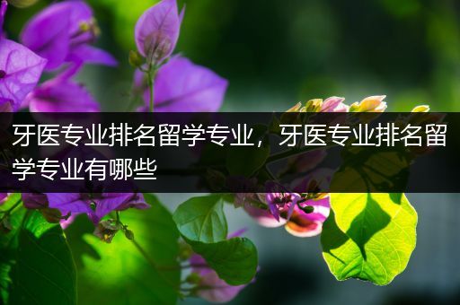 牙医专业排名留学专业，牙医专业排名留学专业有哪些