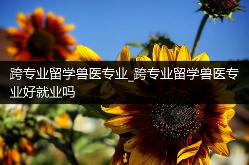 跨专业留学兽医专业_跨专业留学兽医专业好就业吗