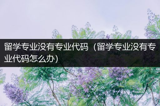 留学专业没有专业代码（留学专业没有专业代码怎么办）