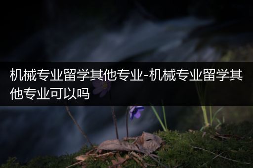 机械专业留学其他专业-机械专业留学其他专业可以吗