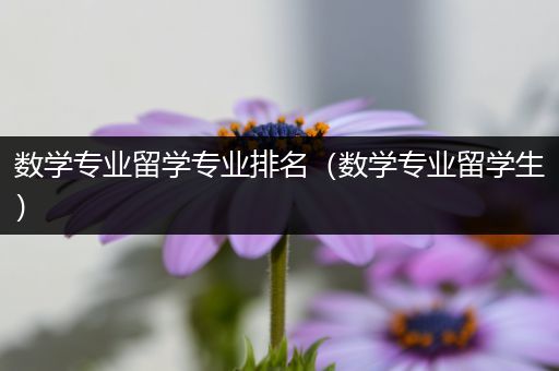 数学专业留学专业排名（数学专业留学生）