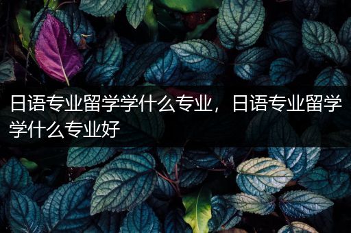 日语专业留学学什么专业，日语专业留学学什么专业好