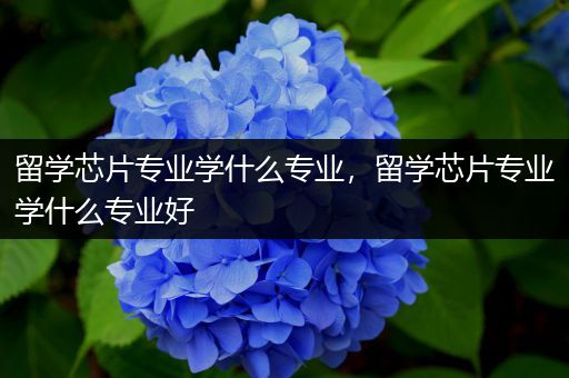 留学芯片专业学什么专业，留学芯片专业学什么专业好