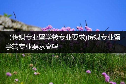 （传媒专业留学转专业要求)传媒专业留学转专业要求高吗