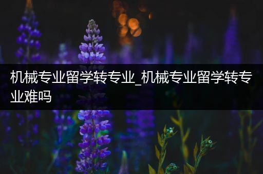 机械专业留学转专业_机械专业留学转专业难吗