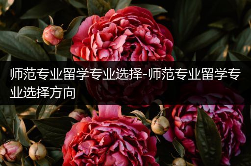 师范专业留学专业选择-师范专业留学专业选择方向