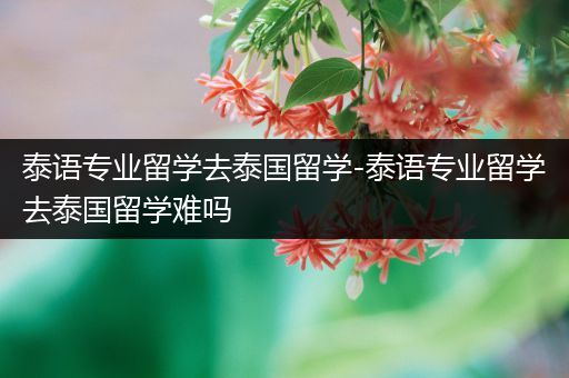 泰语专业留学去泰国留学-泰语专业留学去泰国留学难吗