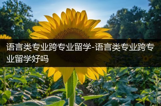 语言类专业跨专业留学-语言类专业跨专业留学好吗