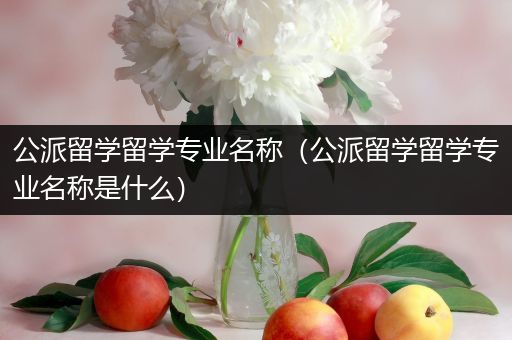 公派留学留学专业名称（公派留学留学专业名称是什么）