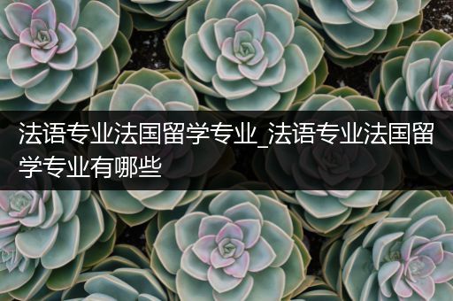 法语专业法国留学专业_法语专业法国留学专业有哪些