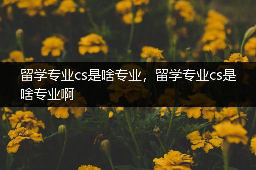 留学专业cs是啥专业，留学专业cs是啥专业啊