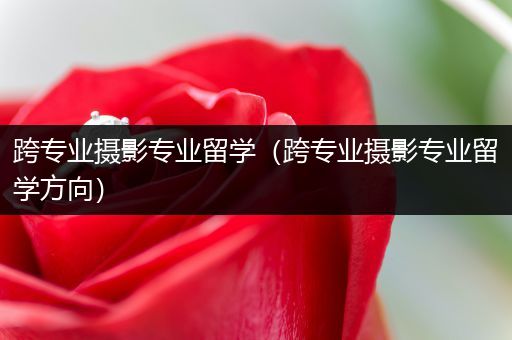 跨专业摄影专业留学（跨专业摄影专业留学方向）