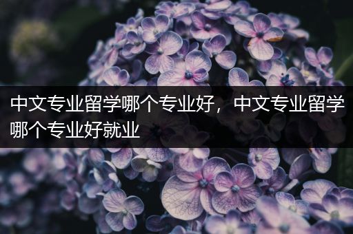 中文专业留学哪个专业好，中文专业留学哪个专业好就业