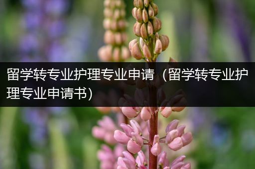 留学转专业护理专业申请（留学转专业护理专业申请书）