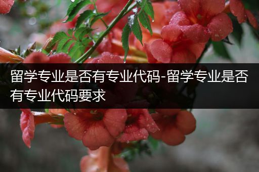 留学专业是否有专业代码-留学专业是否有专业代码要求