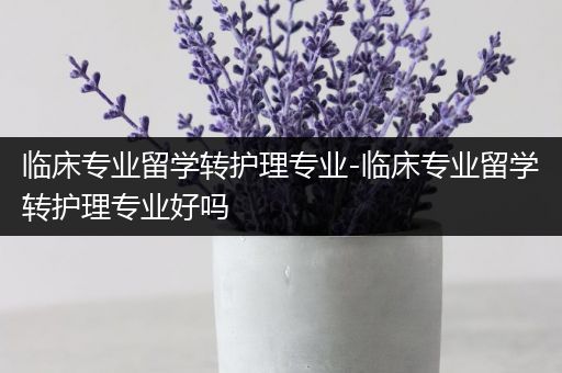 临床专业留学转护理专业-临床专业留学转护理专业好吗