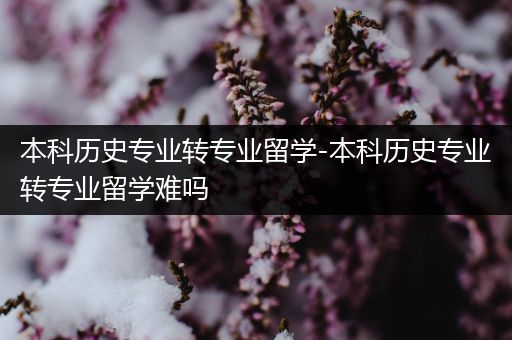 本科历史专业转专业留学-本科历史专业转专业留学难吗