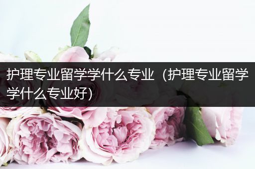 护理专业留学学什么专业（护理专业留学学什么专业好）