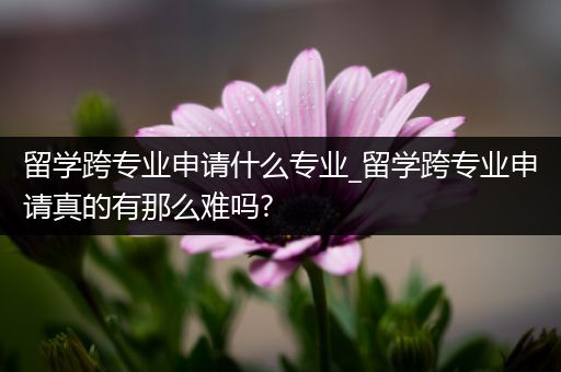 留学跨专业申请什么专业_留学跨专业申请真的有那么难吗?