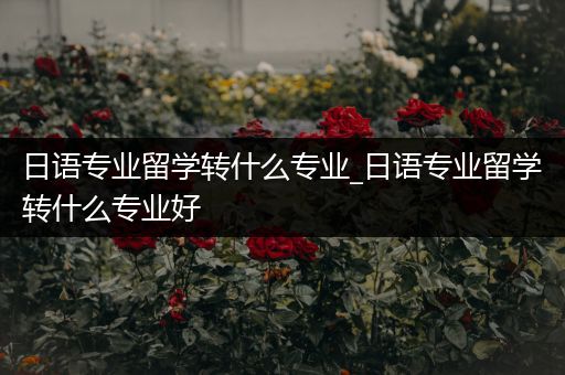 日语专业留学转什么专业_日语专业留学转什么专业好