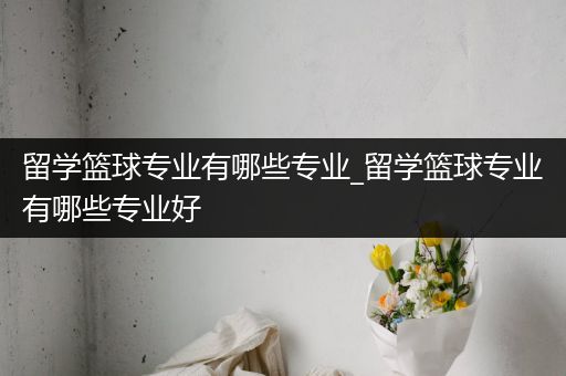 留学篮球专业有哪些专业_留学篮球专业有哪些专业好