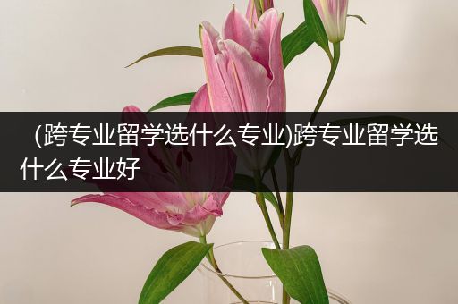 （跨专业留学选什么专业)跨专业留学选什么专业好