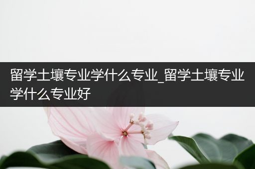 留学土壤专业学什么专业_留学土壤专业学什么专业好