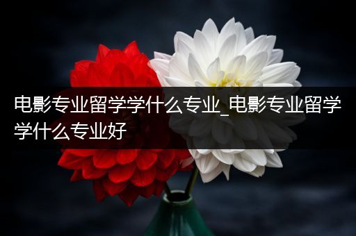 电影专业留学学什么专业_电影专业留学学什么专业好