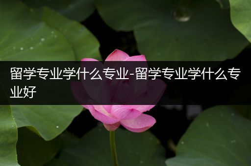 留学专业学什么专业-留学专业学什么专业好