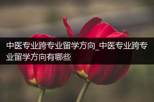 中医专业跨专业留学方向_中医专业跨专业留学方向有哪些