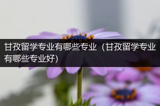 甘孜留学专业有哪些专业（甘孜留学专业有哪些专业好）