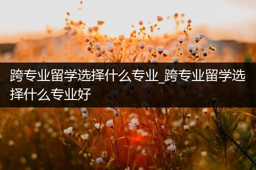 跨专业留学选择什么专业_跨专业留学选择什么专业好