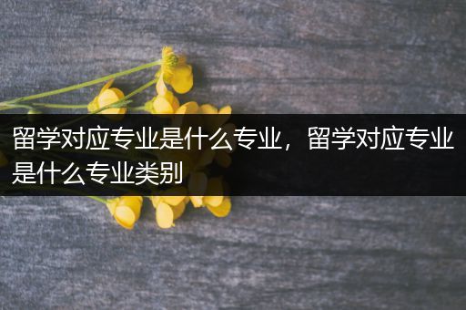 留学对应专业是什么专业，留学对应专业是什么专业类别