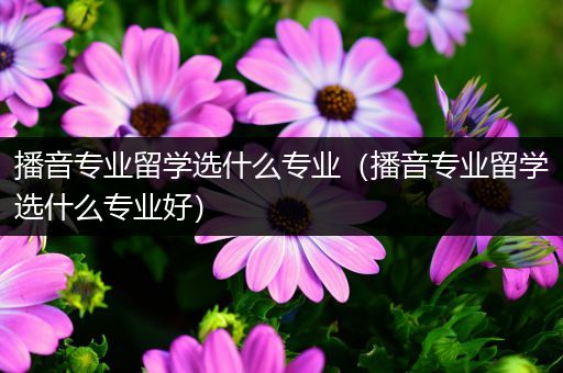 播音专业留学选什么专业（播音专业留学选什么专业好）