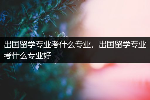 出国留学专业考什么专业，出国留学专业考什么专业好