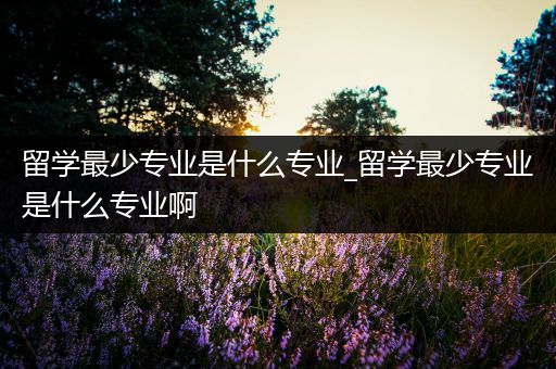 留学最少专业是什么专业_留学最少专业是什么专业啊