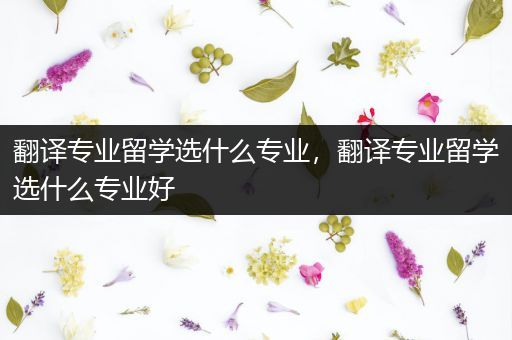 翻译专业留学选什么专业，翻译专业留学选什么专业好