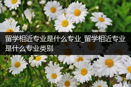 留学相近专业是什么专业_留学相近专业是什么专业类别