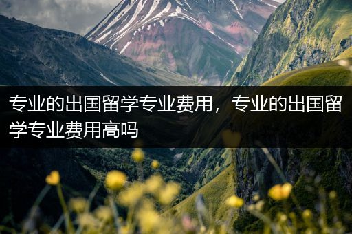 专业的出国留学专业费用，专业的出国留学专业费用高吗