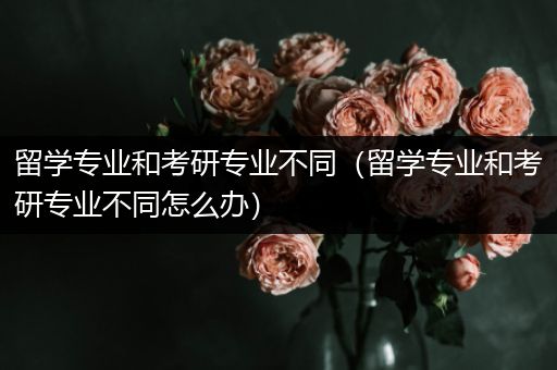 留学专业和考研专业不同（留学专业和考研专业不同怎么办）