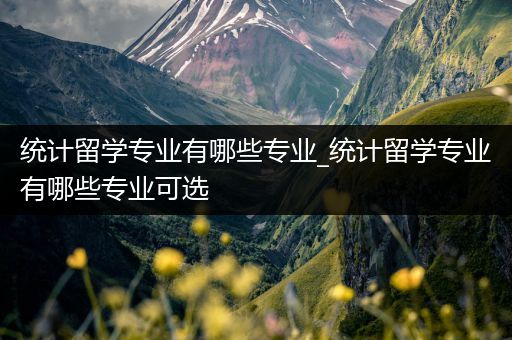 统计留学专业有哪些专业_统计留学专业有哪些专业可选