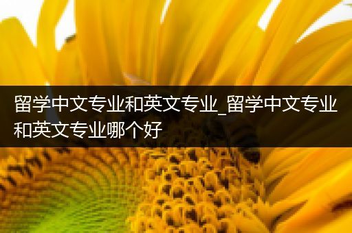 留学中文专业和英文专业_留学中文专业和英文专业哪个好