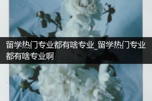 留学热门专业都有啥专业_留学热门专业都有啥专业啊