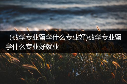 （数学专业留学什么专业好)数学专业留学什么专业好就业