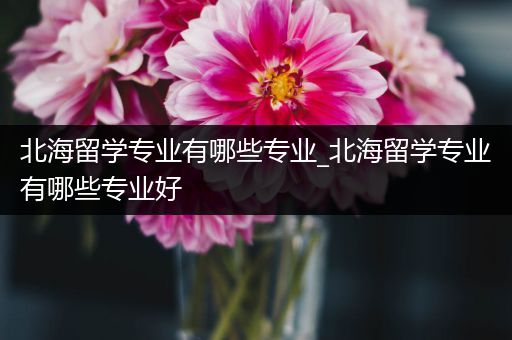 北海留学专业有哪些专业_北海留学专业有哪些专业好