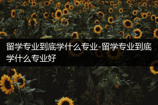 留学专业到底学什么专业-留学专业到底学什么专业好