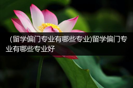 （留学偏门专业有哪些专业)留学偏门专业有哪些专业好