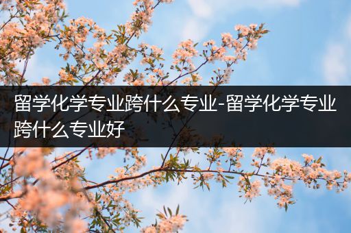 留学化学专业跨什么专业-留学化学专业跨什么专业好