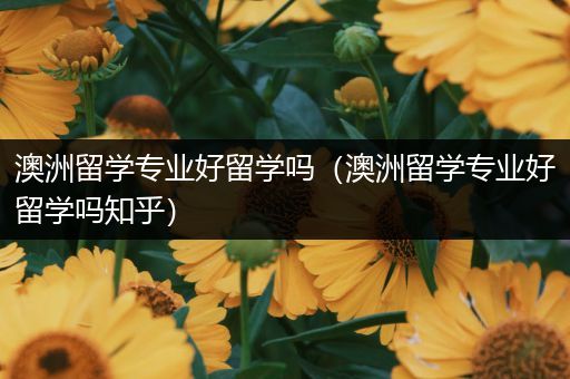 澳洲留学专业好留学吗（澳洲留学专业好留学吗知乎）